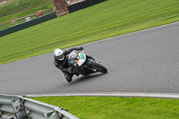 Middle Group Silver_Grey Bikes